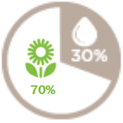 Plant Starch Material